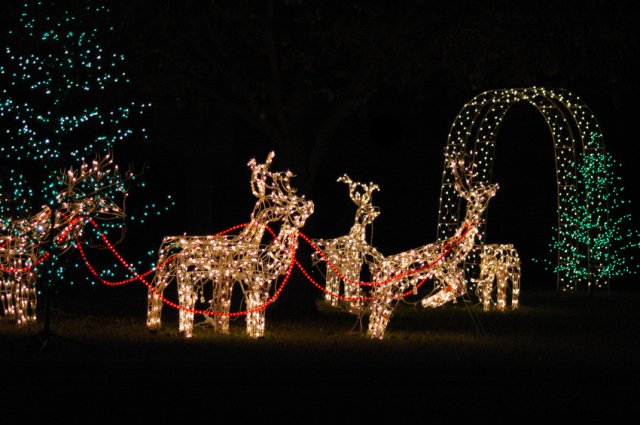 picture of christmas lights